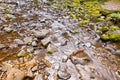 Russell Falls waterfall with stone covered with green moss at Mo Royalty Free Stock Photo